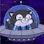 Hover Cats 