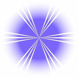 Hololoot