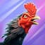 Rooster Fights Game