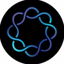 Delphi Digital